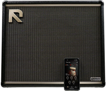 Reactor 100w - Gereviseerd