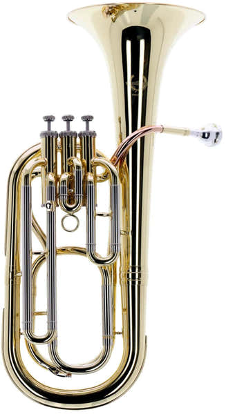 WSH200 - Bb vernist
