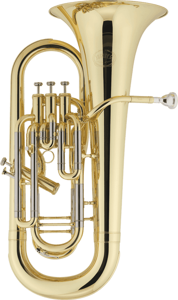 JEP1020