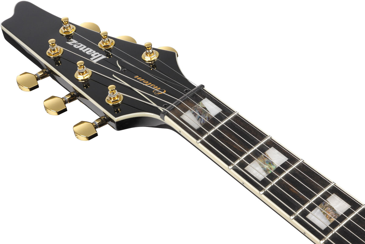 FRM350 Signature Paul Gilbert Zwart
