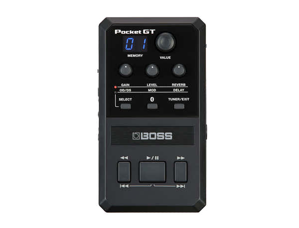POCKET-gt