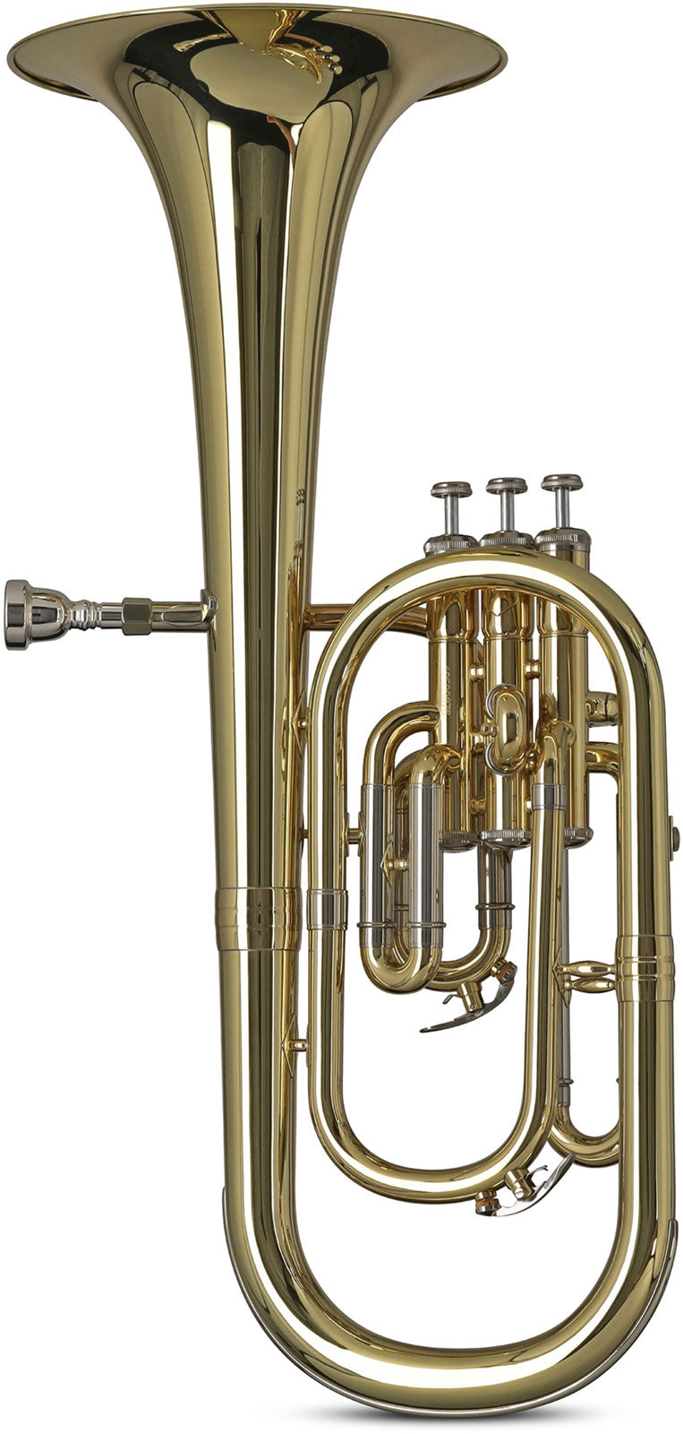 Ambition AH650 Althoorn Gelakt