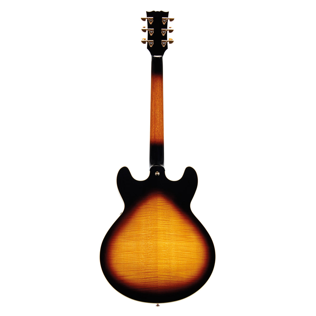 Sa2200 Bruin Sunburst