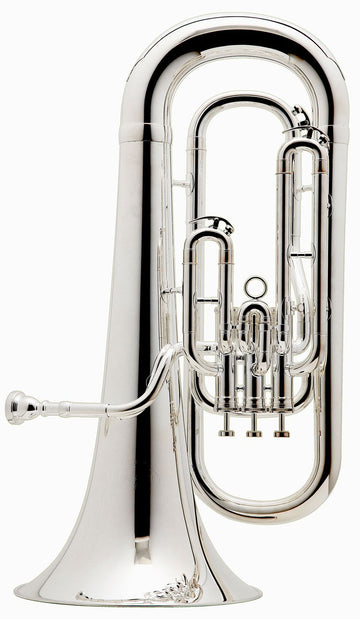Prodige Bes Verzilverd - BE162-2-0