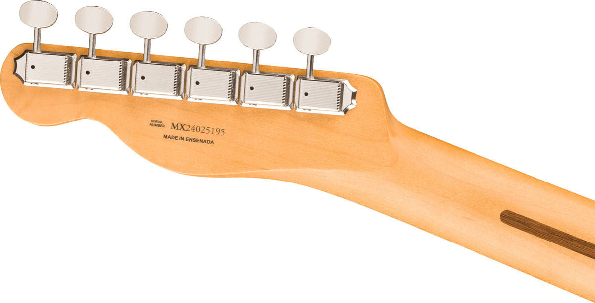 Telecaster HH Player II RW Zwart