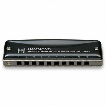 HARMONICA HAMMOND BB