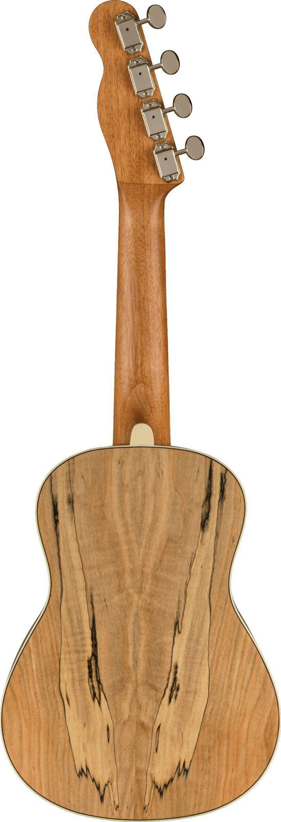 Zuma Uke Exotisch Concert Wn Spalted Maple