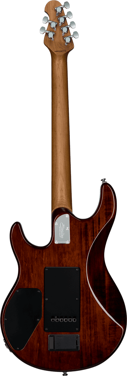 Luke Gevlamd Esdoorn Hazel Burst