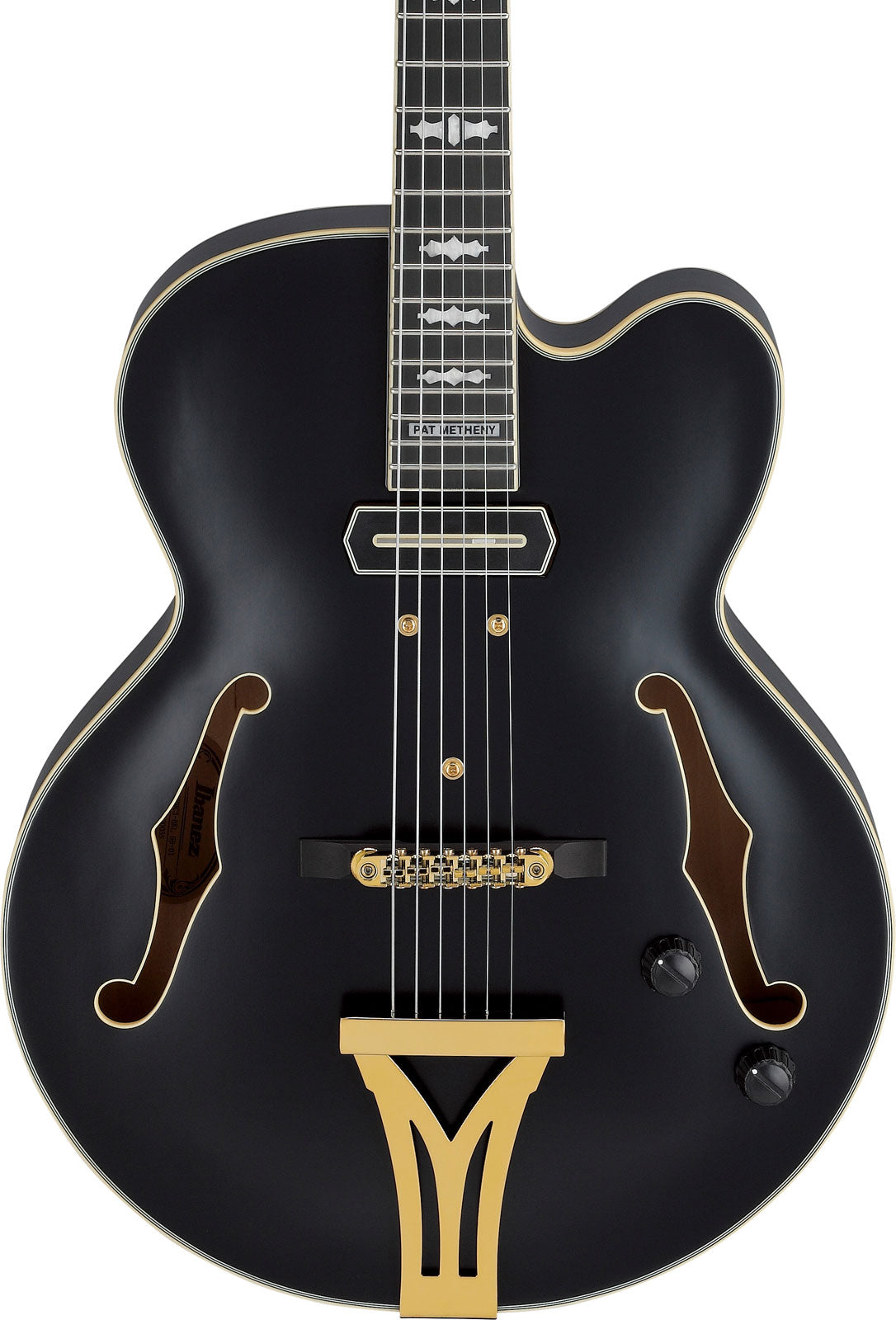 PM3C Signature Pat Metheny Zwart Laagglans
