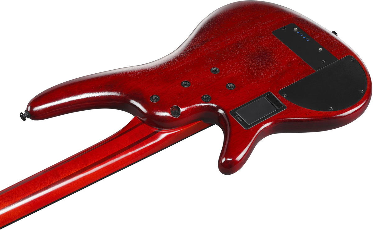 SRD900F-BTL Bruine topaas Burst Bass Workshop