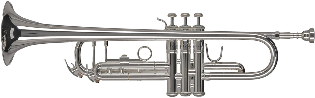 Ambition TR501S Bes Verzilverd