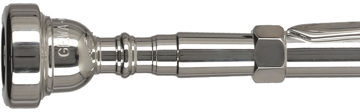 Ambition TR501S Bes Verzilverd