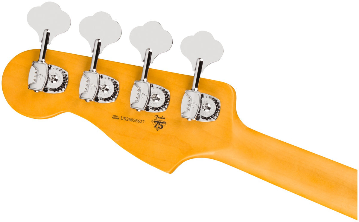 Precision Bass American Professional, RW Donkere Nacht