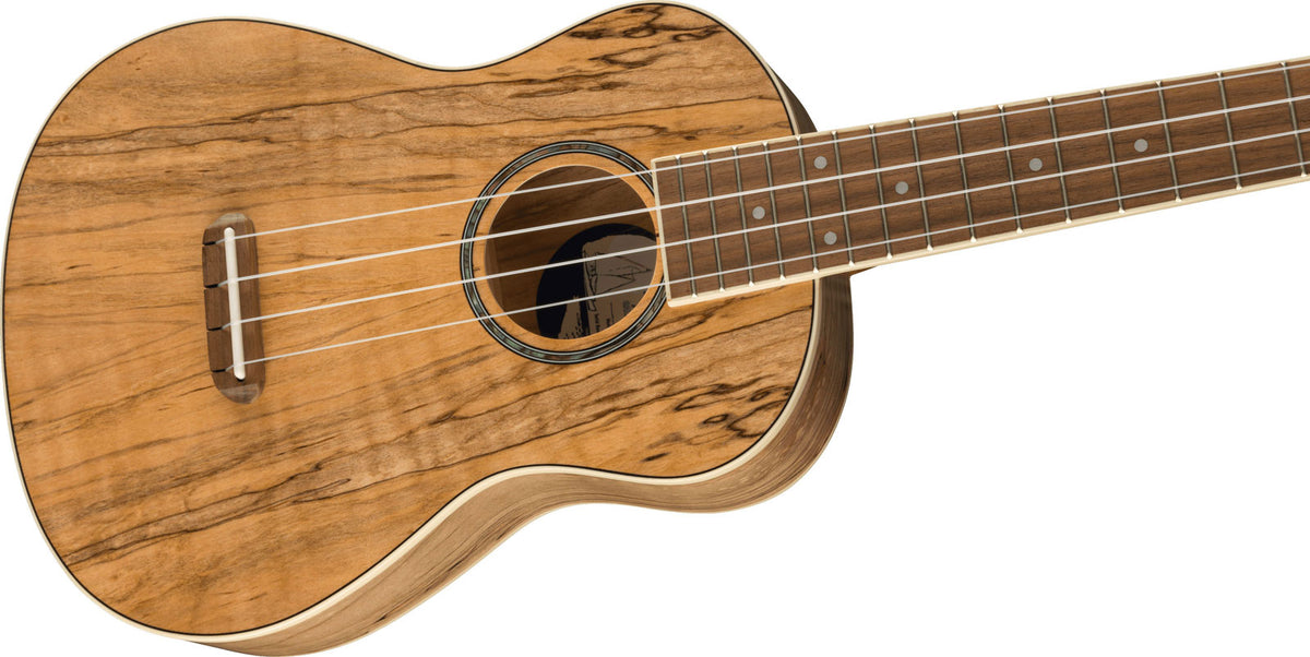 Zuma Uke Exotisch Concert Wn Spalted Maple
