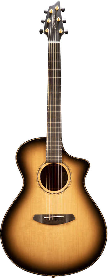 Oregon Concert Ce Saddleback