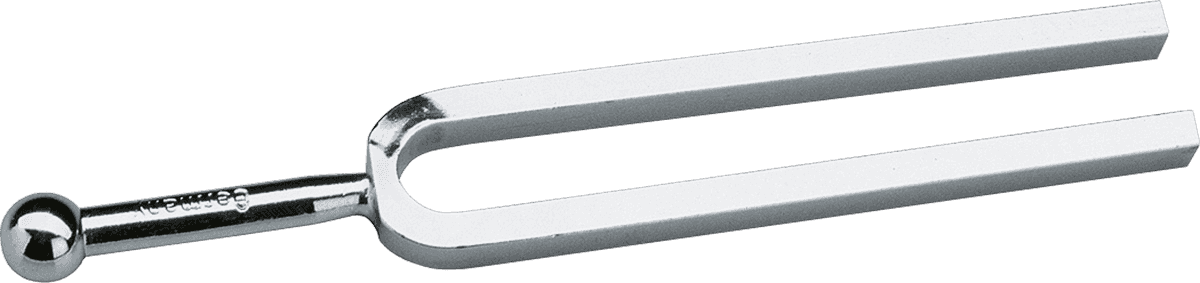 PITCH A-440HZ RECTANGULAR - 12 CM
