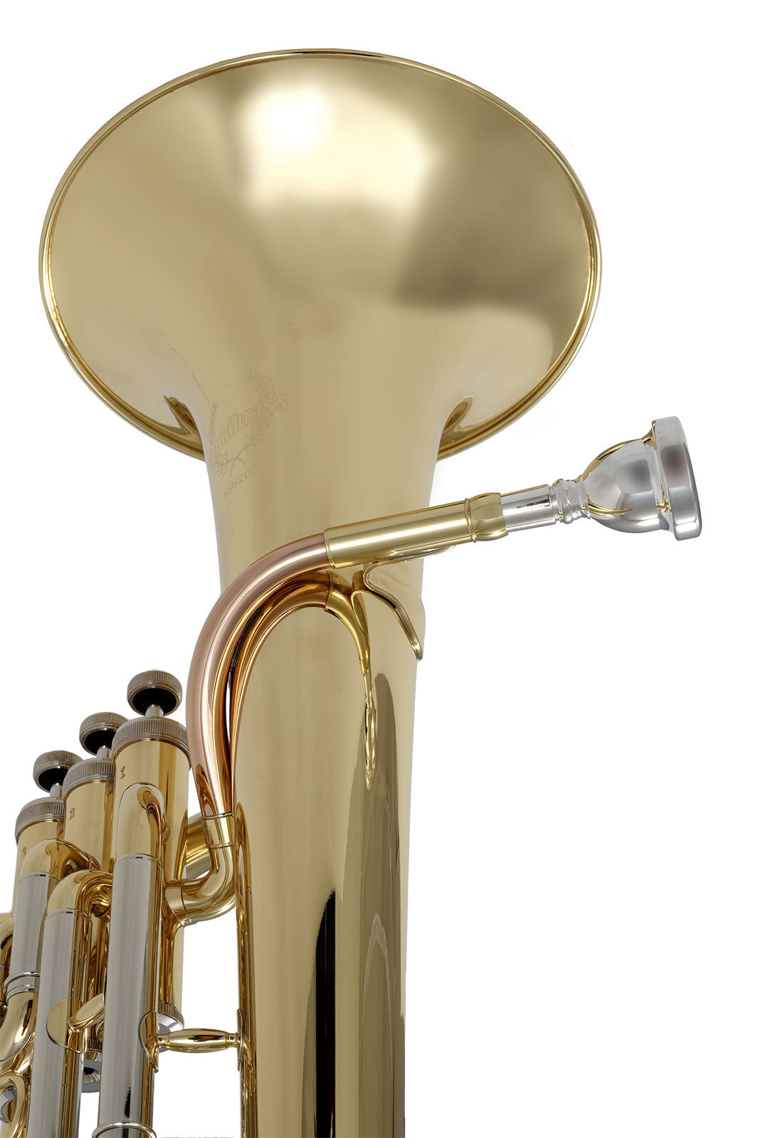 WSH200 - Bb vernist