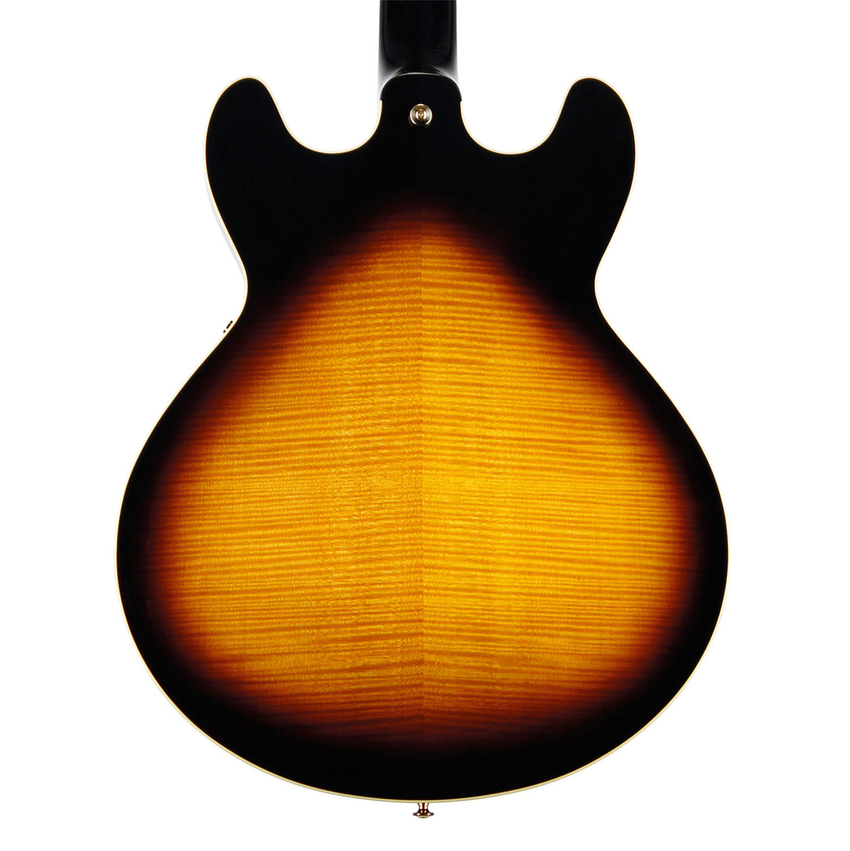 Sa2200 Bruin Sunburst