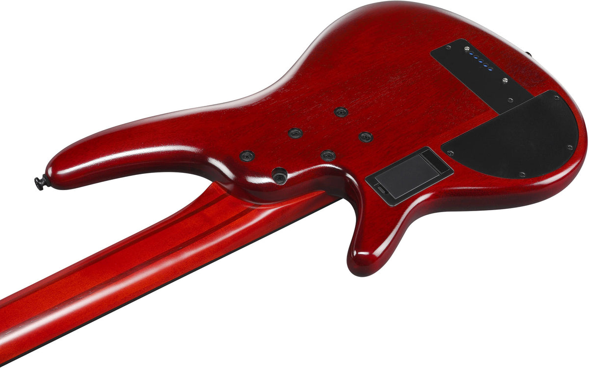 SRD905F-BTL Bruine topaas Burst Bass Workshop