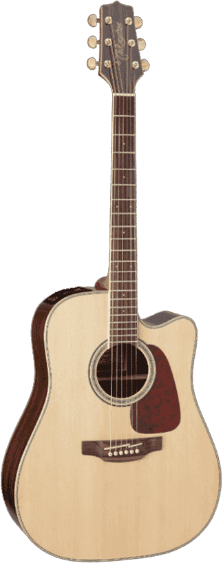 Takamine Gd71Ce Natural