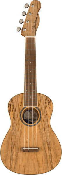 Fender Zuma Uke Exotisch Concert Wn Spalted Maple