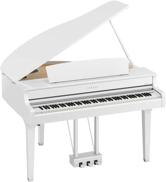 CLP895GP Wit