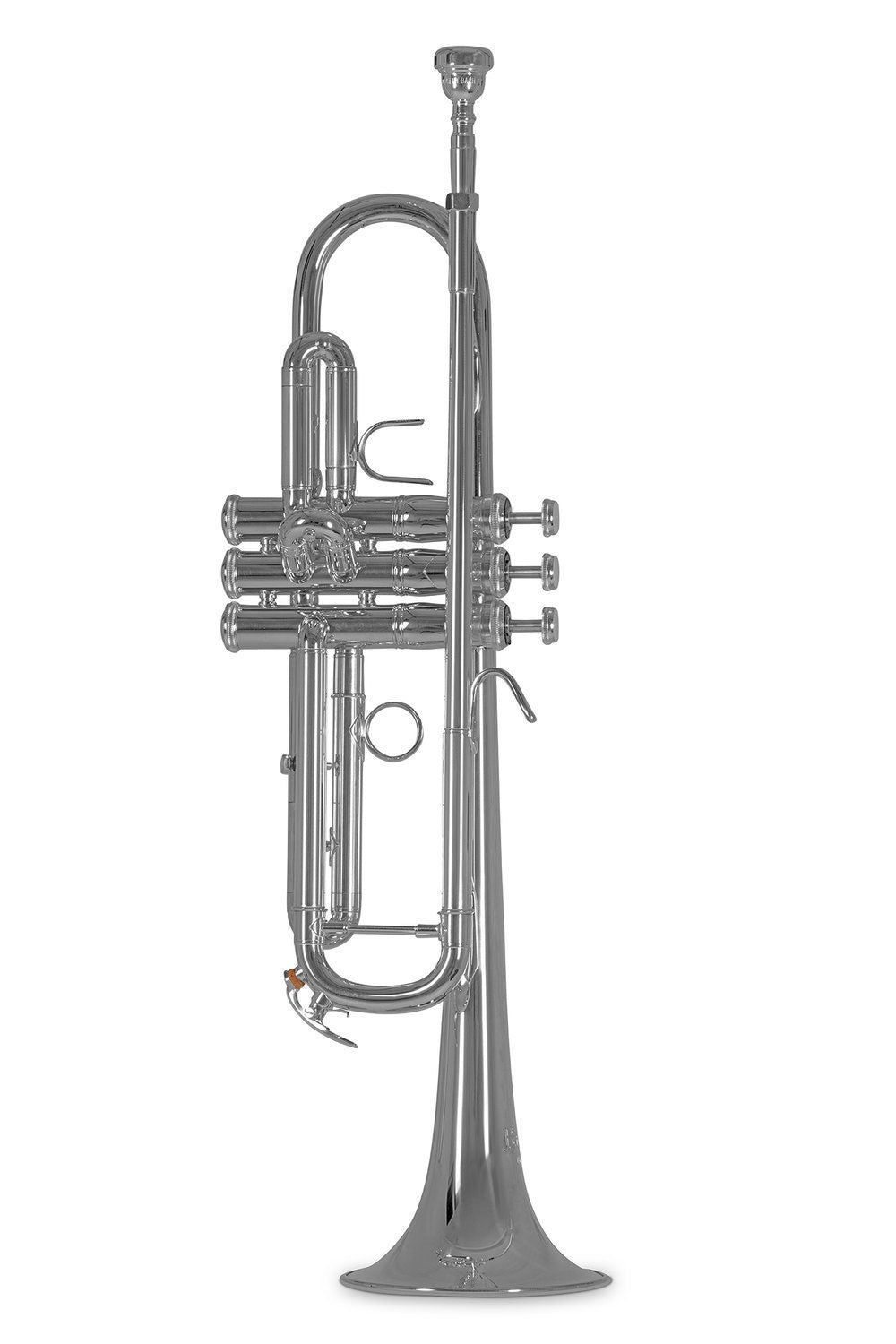 TR450S - Bes Verzilverde