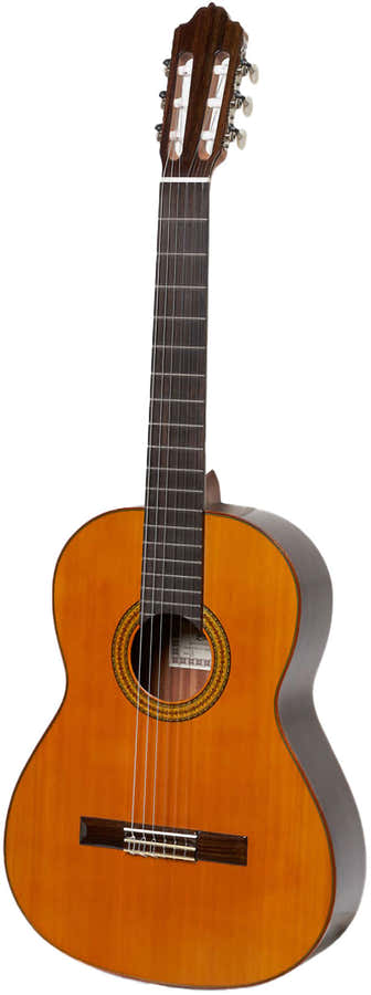 Mod.3 Cedar Top