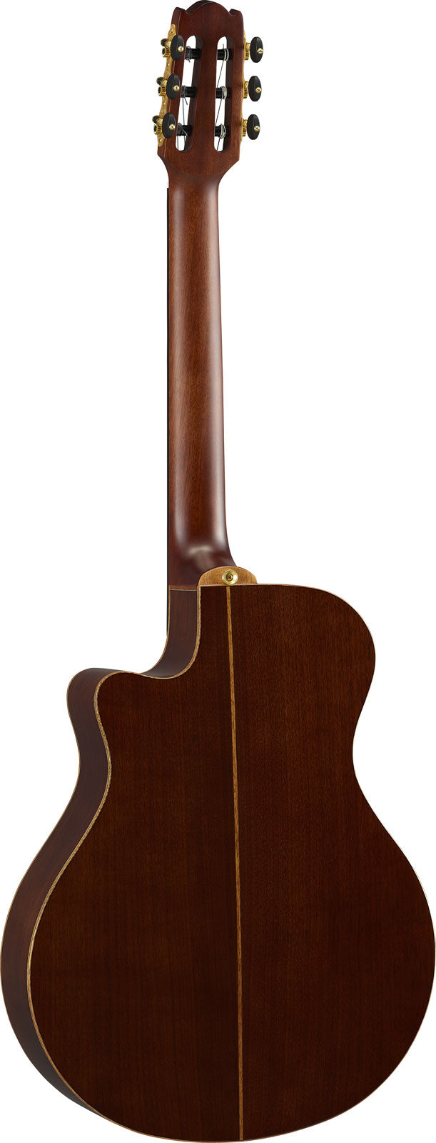 Ntx3 Bruin Sunburst