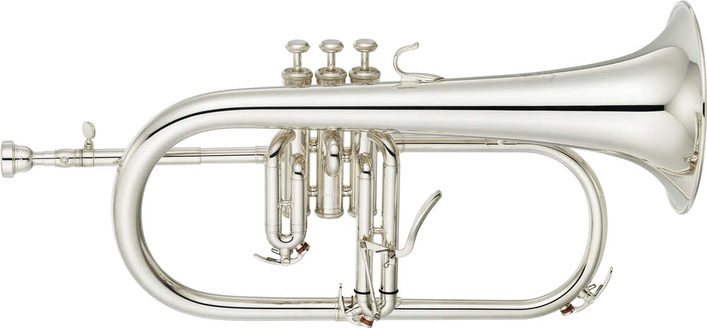 YFH8315GS Custom Bes Verzilverda