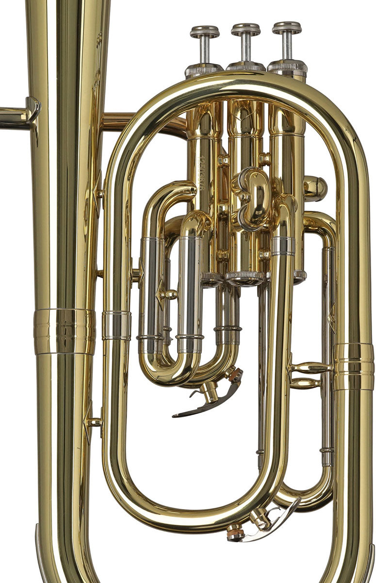 Ambition AH650 Althoorn Gelakt