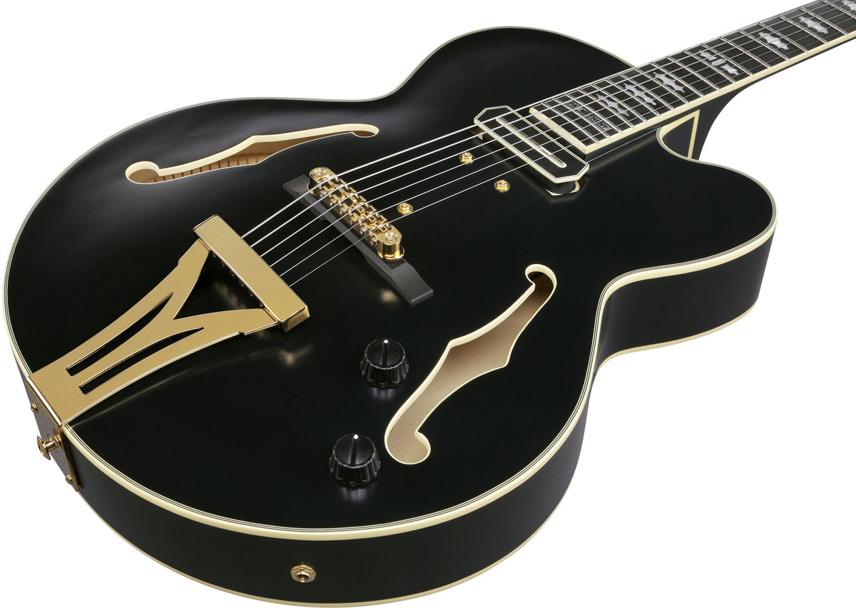 PM3C Signature Pat Metheny Zwart Laagglans