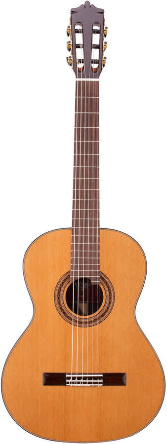 Standard Mc-58C Rn Natural