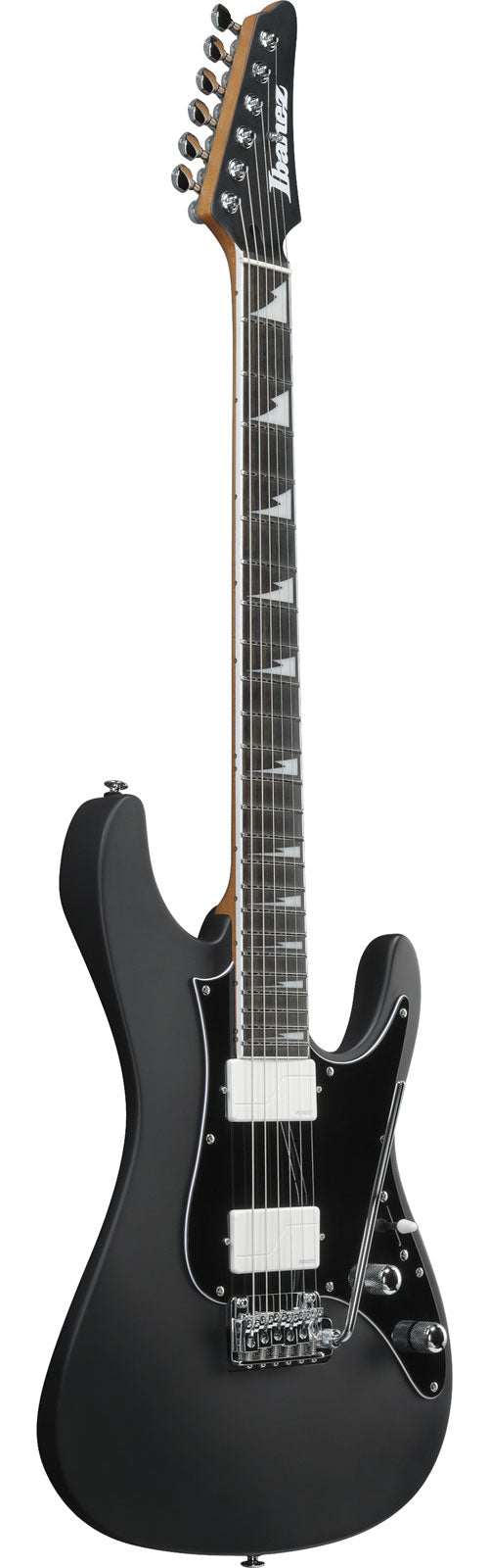 BER10 Signature Bernth Black