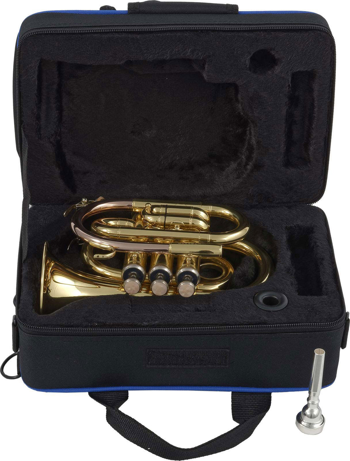WTP200P - Bb vernist