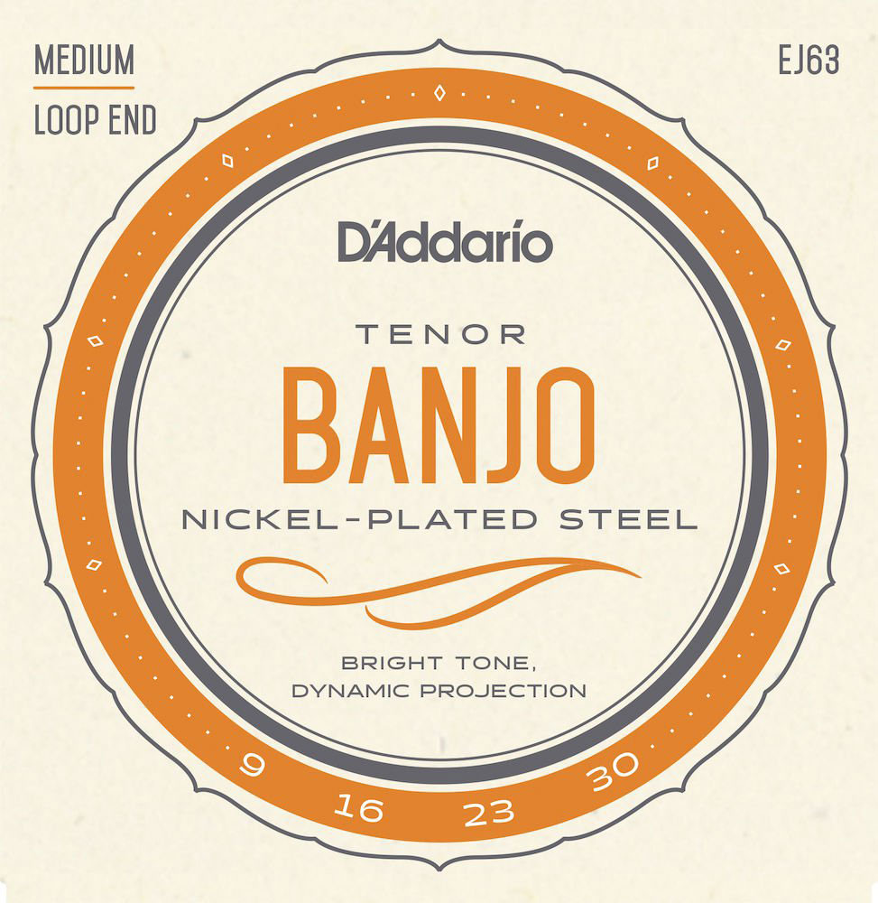 D'ADDARIO EJ63 Tenor Banjo Snaren Nikkel 9-30