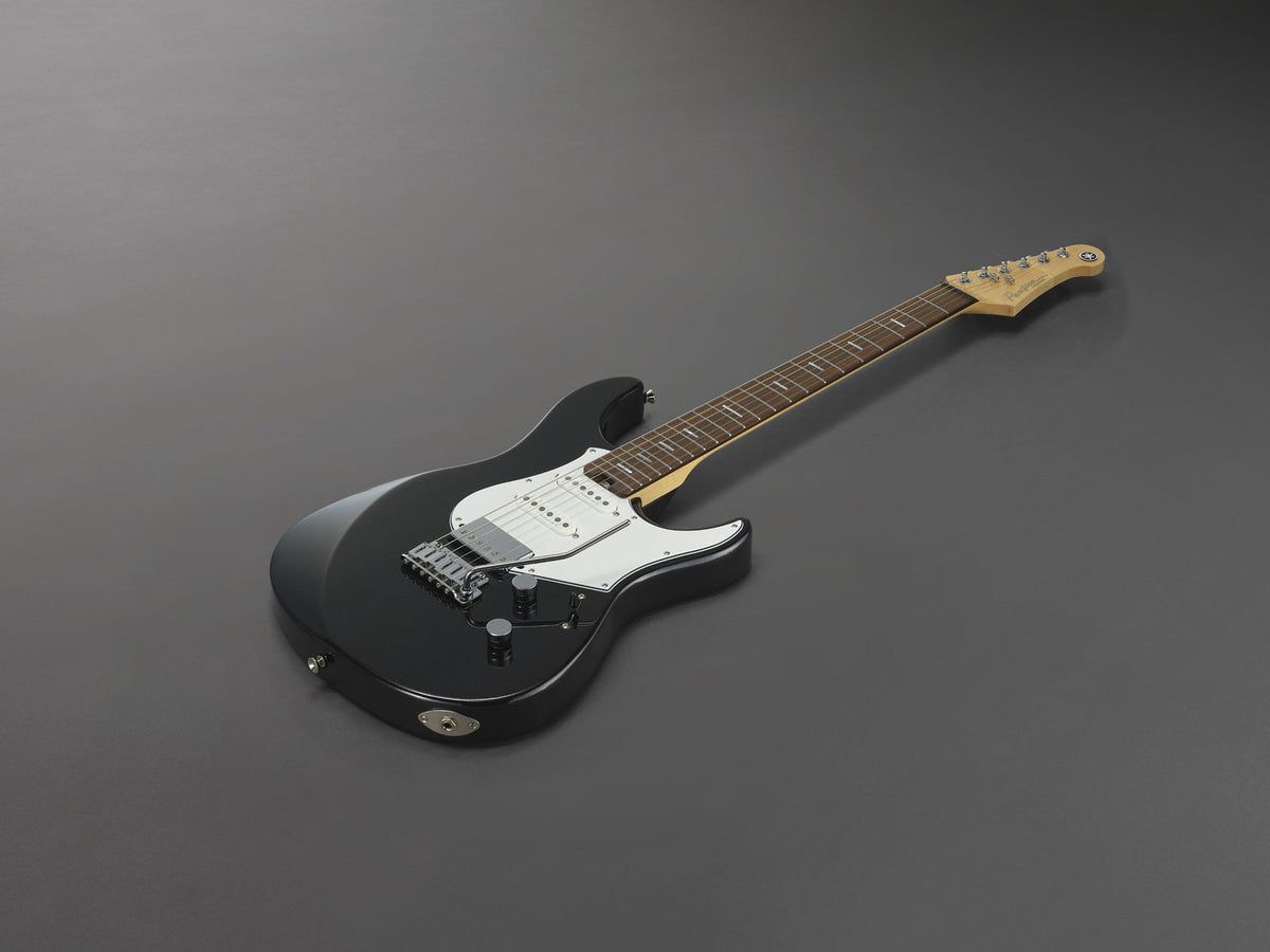 Pacifica Professional Pacp12-Bm Rw Metallic zwart