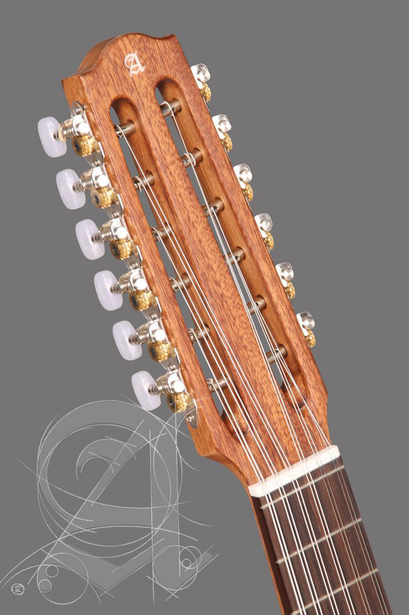 Student L-2C Op Lutes + 9534 Gigbag