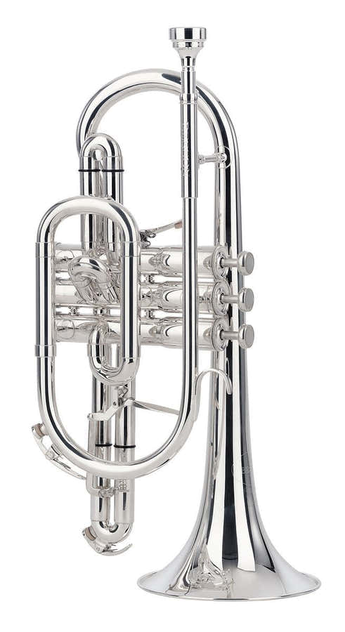 Sovereign Bes Verzilverд - BE928G-2-0