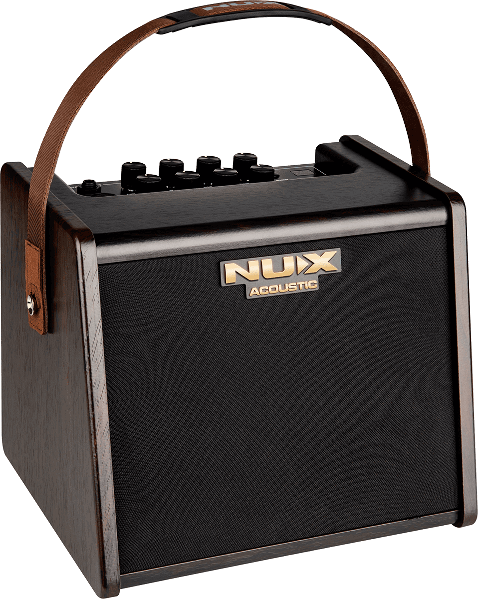 25 WATT ACOUSTIC AMP ON 2 CHANNEL BATTERY + EFFECTS