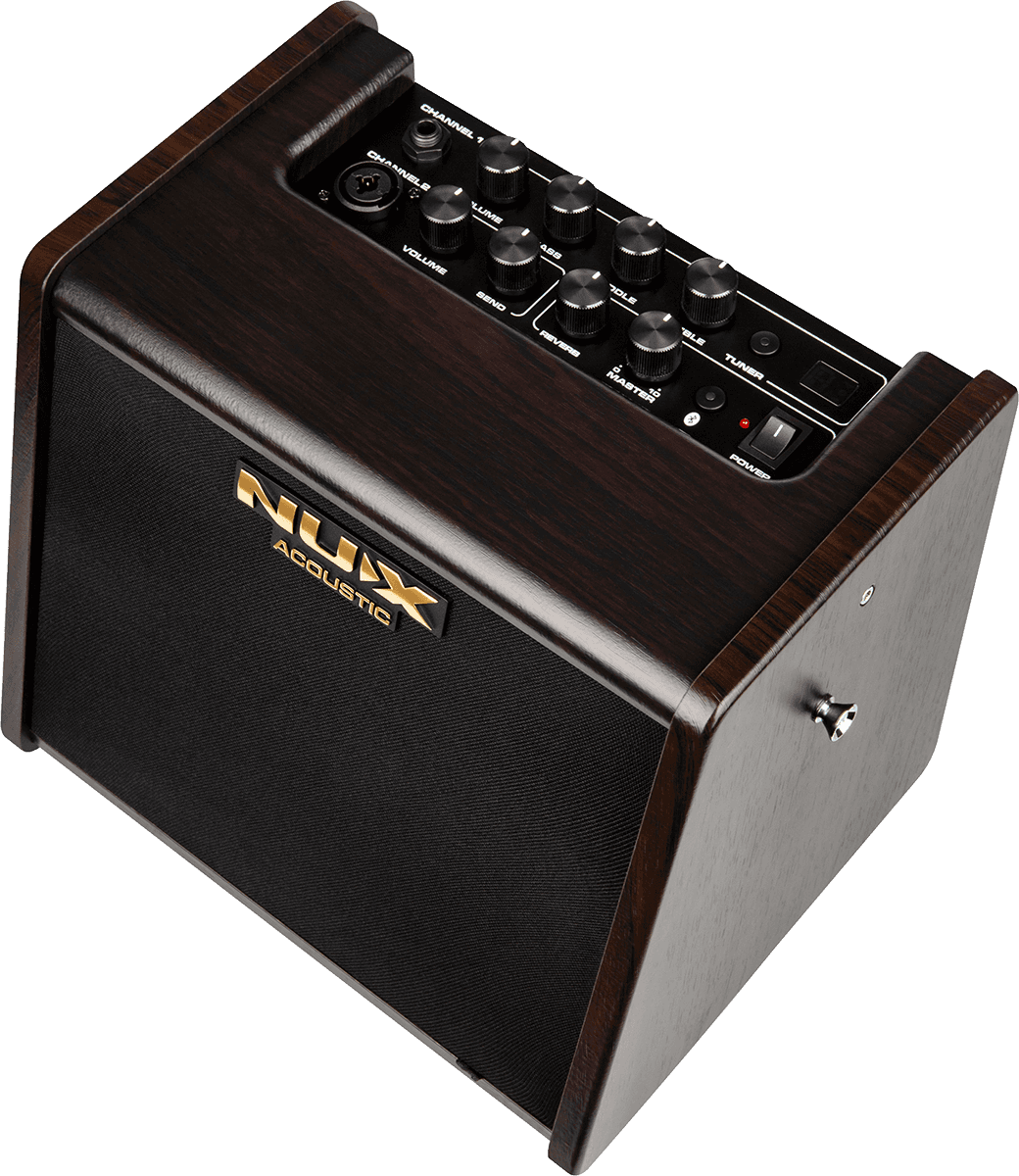 25 WATT ACOUSTIC AMP ON 2 CHANNEL BATTERY + EFFECTS