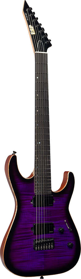 M7 Donkerpaarse Sunburst