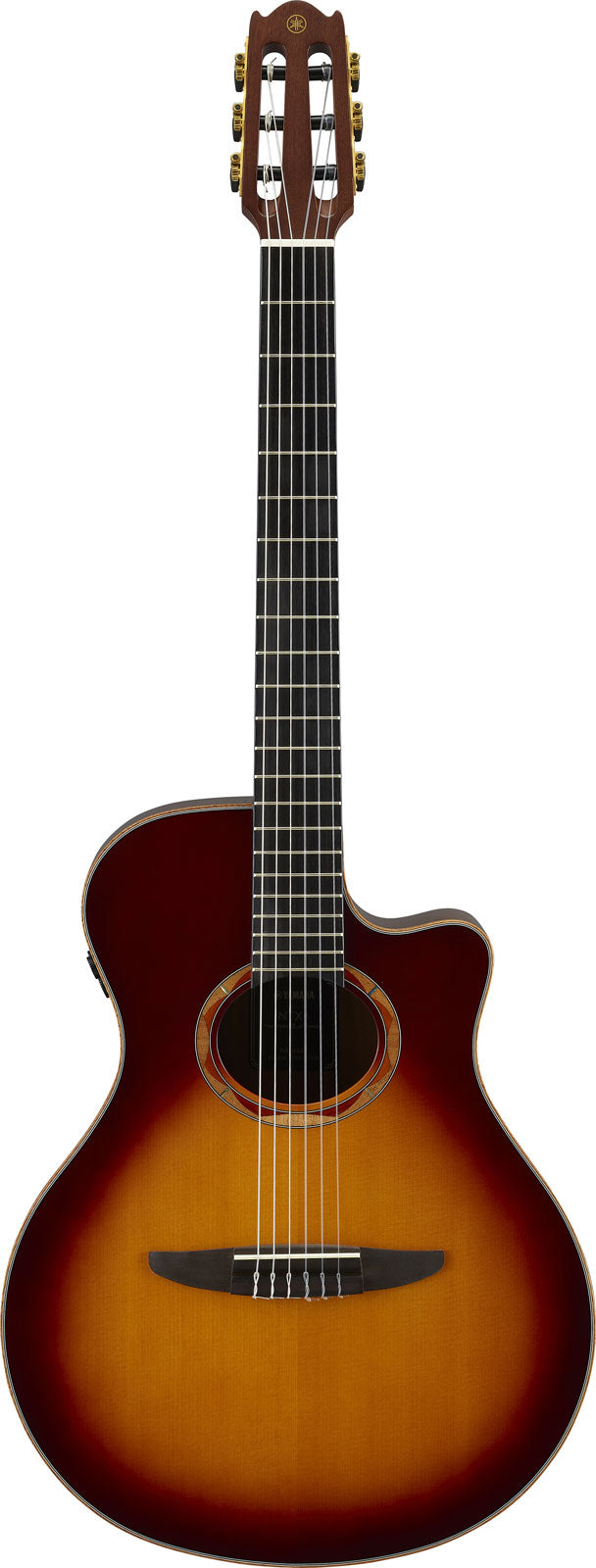 Ntx3 Bruin Sunburst