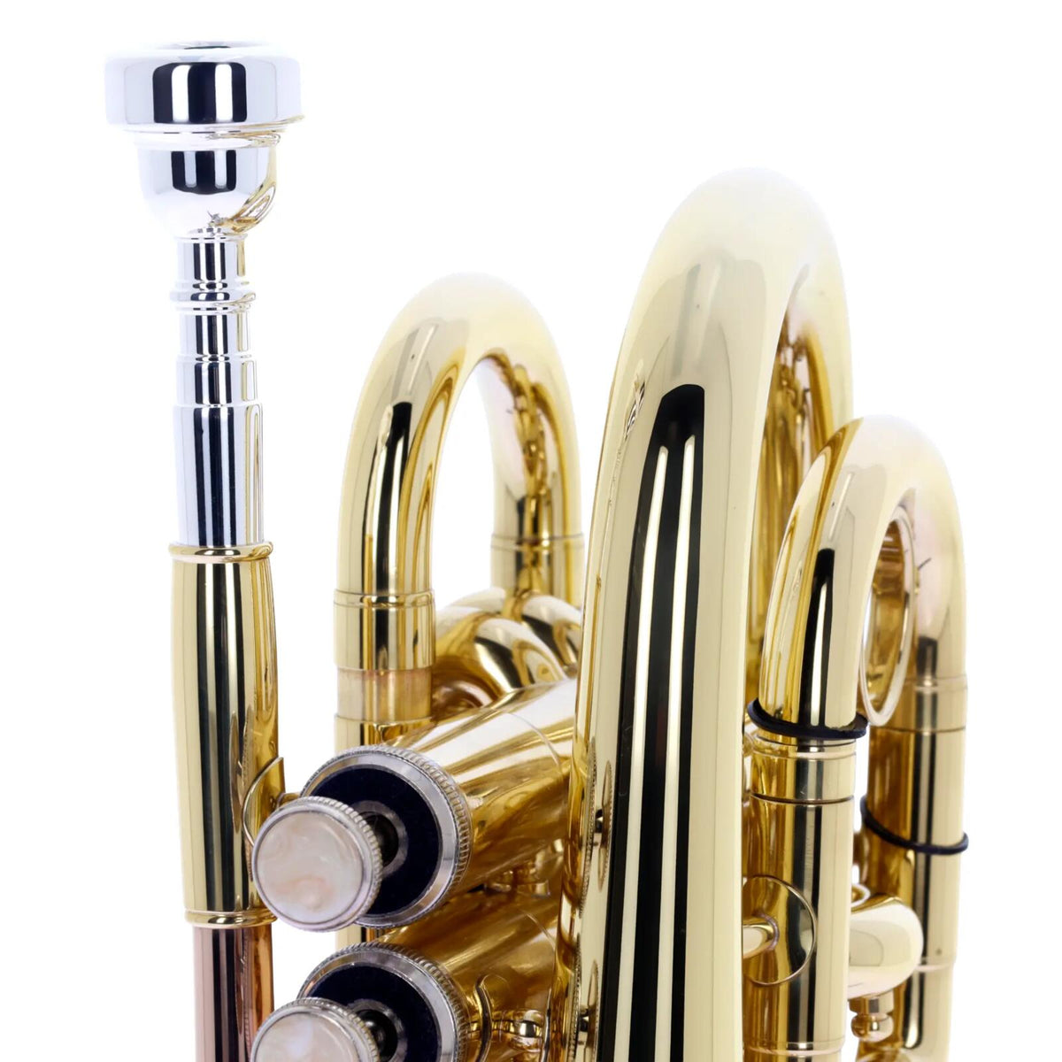 WTP200P - Bb vernist