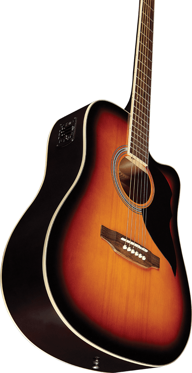 Ranger 6 CE Bruin Sunburst