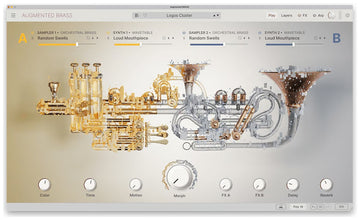 Augmented BRASS