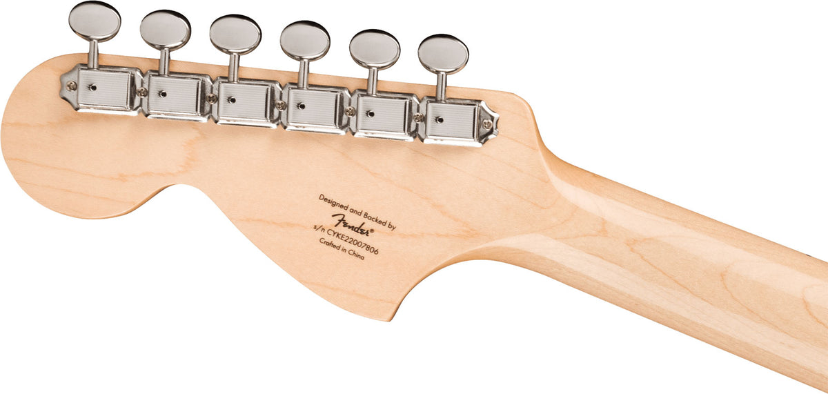Esquire Dlx Paranormal Mn Metallic zwart