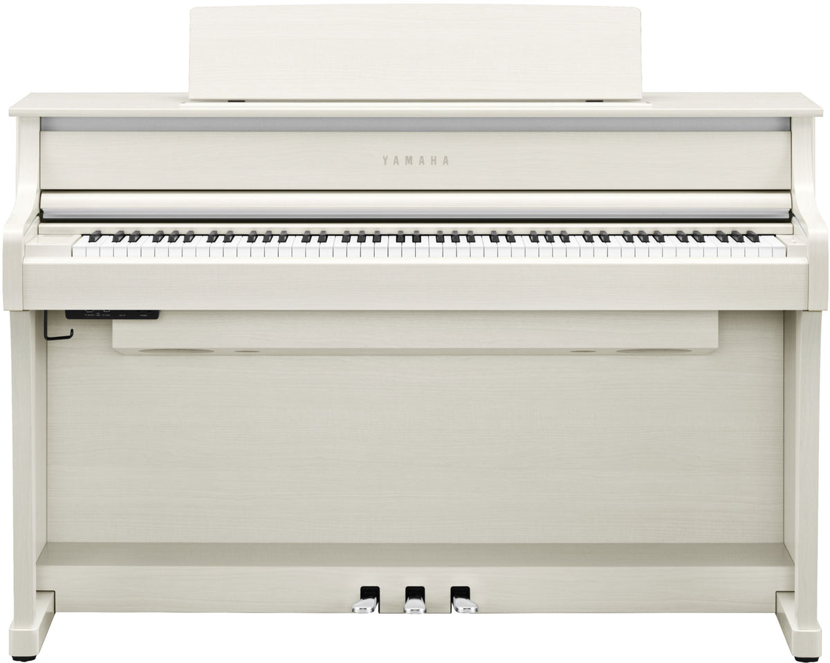 CLP875 Wit Berken