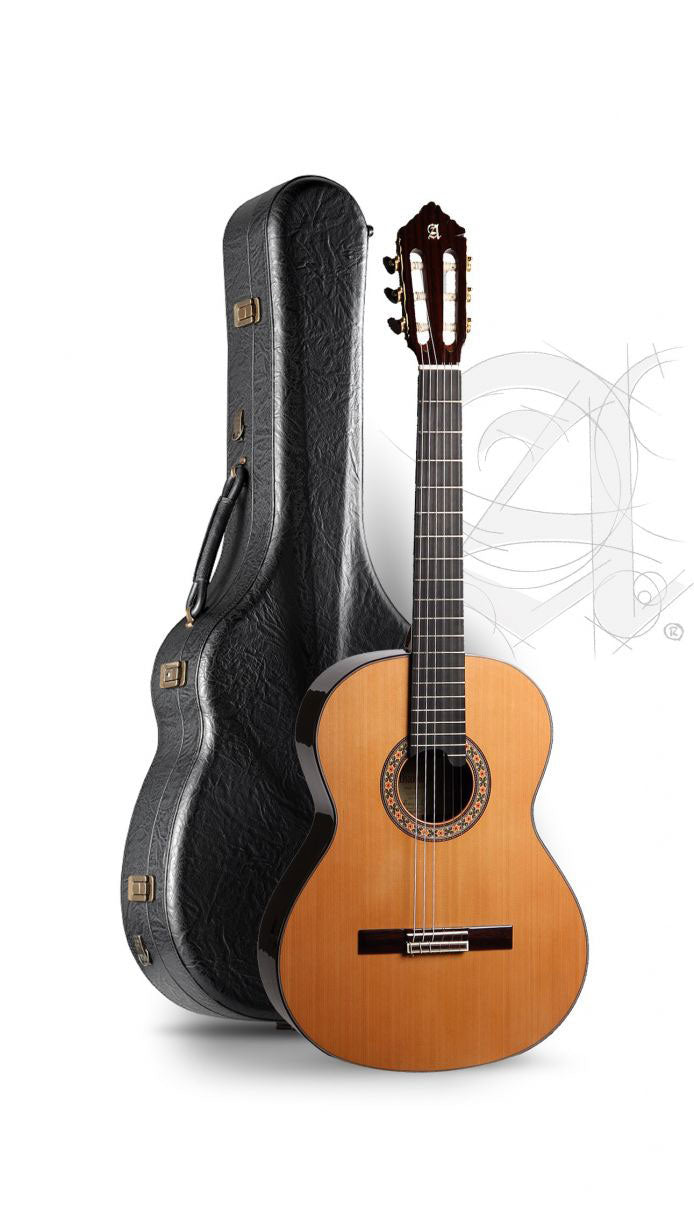 Concert 10 Premier + 9557 Case