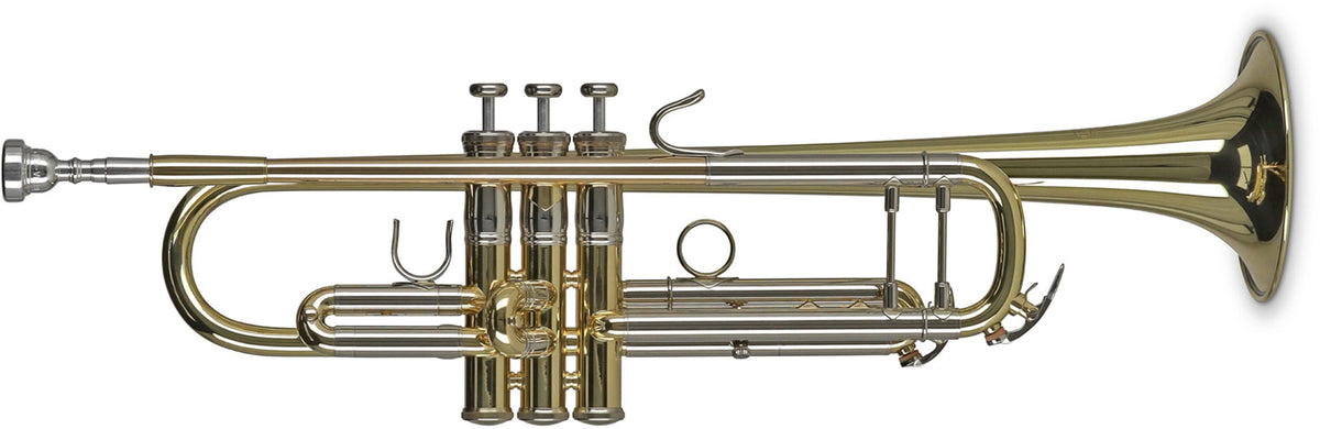 Vision TR372 Bes Gelakt